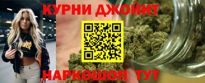 дмт Пенза